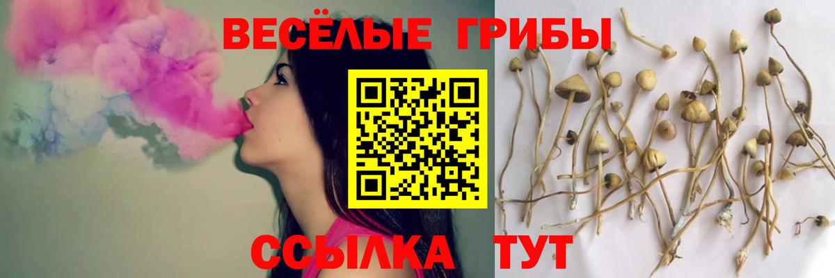 Заводоуковск  Псилоцибиновые грибы мицелий  Галлюциногенные грибы MAGIC MUSHROOMS  Вход с VPN 