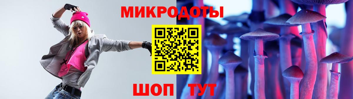 Псилоцибиновые грибы GOLDEN TEACHER Заводоуковск